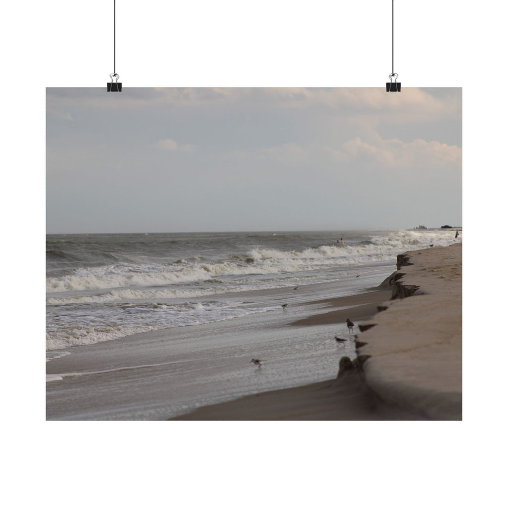 Assateague Island Posters