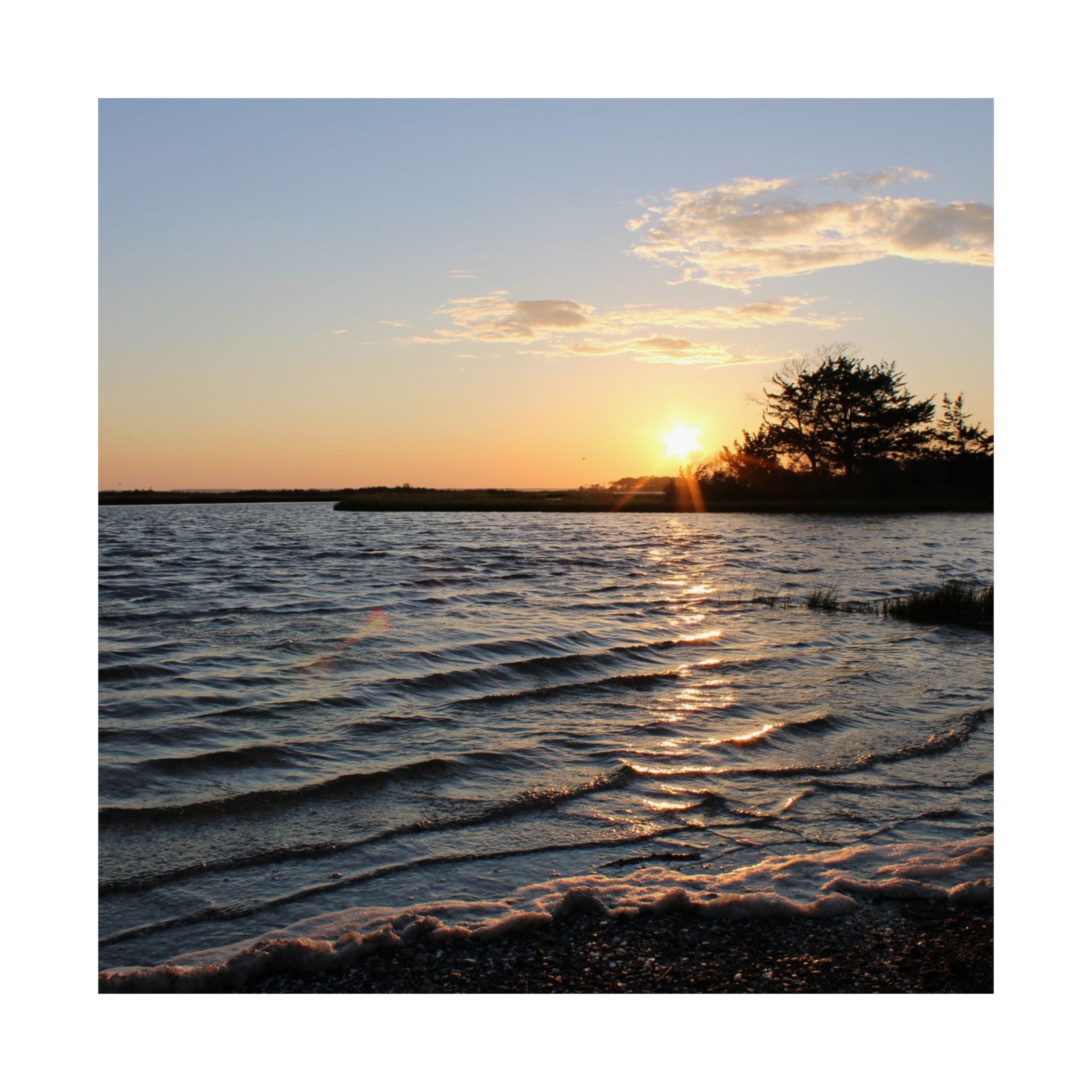 Assateague Island Posters