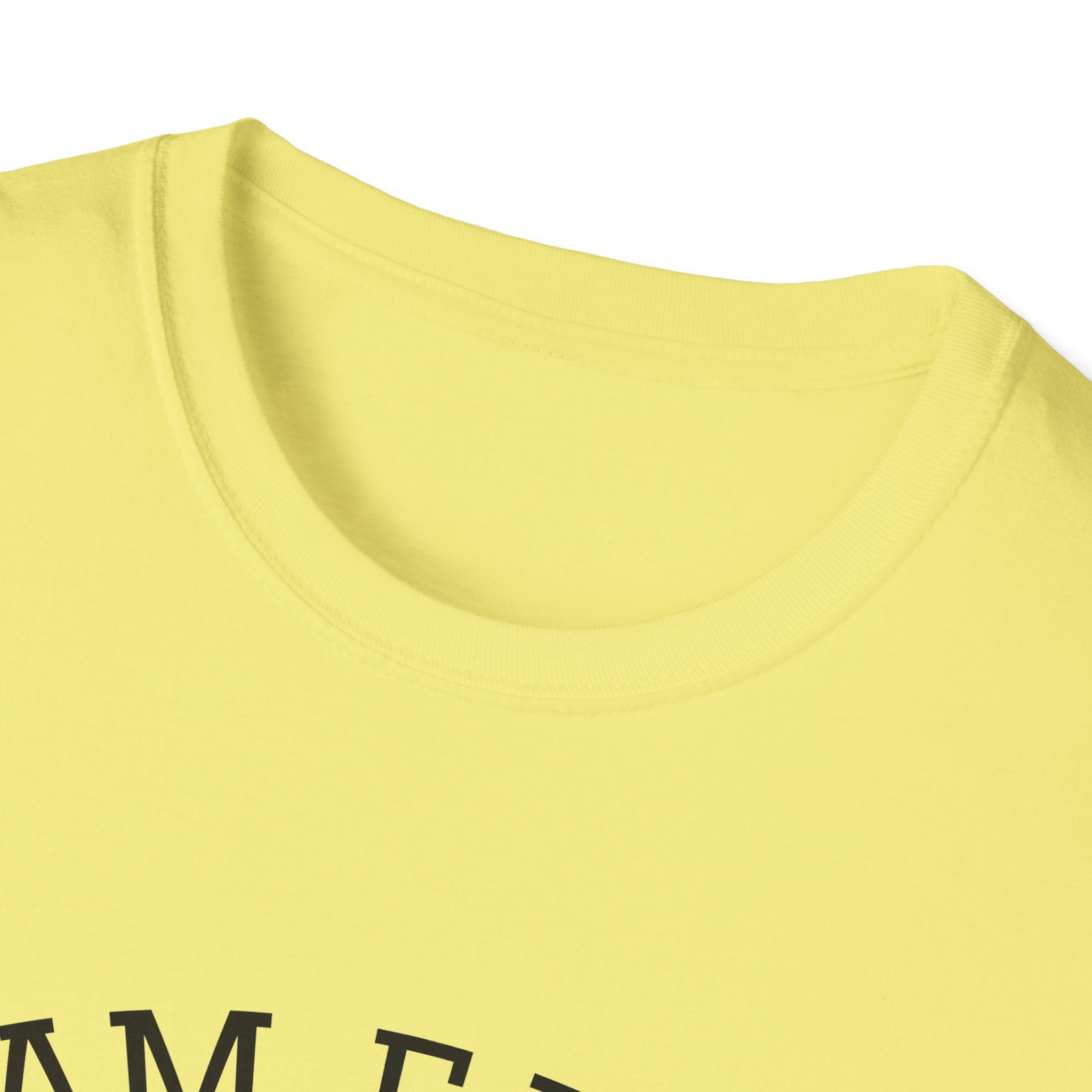 I Am F.I.N.E. Thank You Unisex Softstyle T-Shirt, Positive Quote Tee, Gift for Friends, Mindfulness Apparel, Everyday Casual Wear, Motivational Shirt