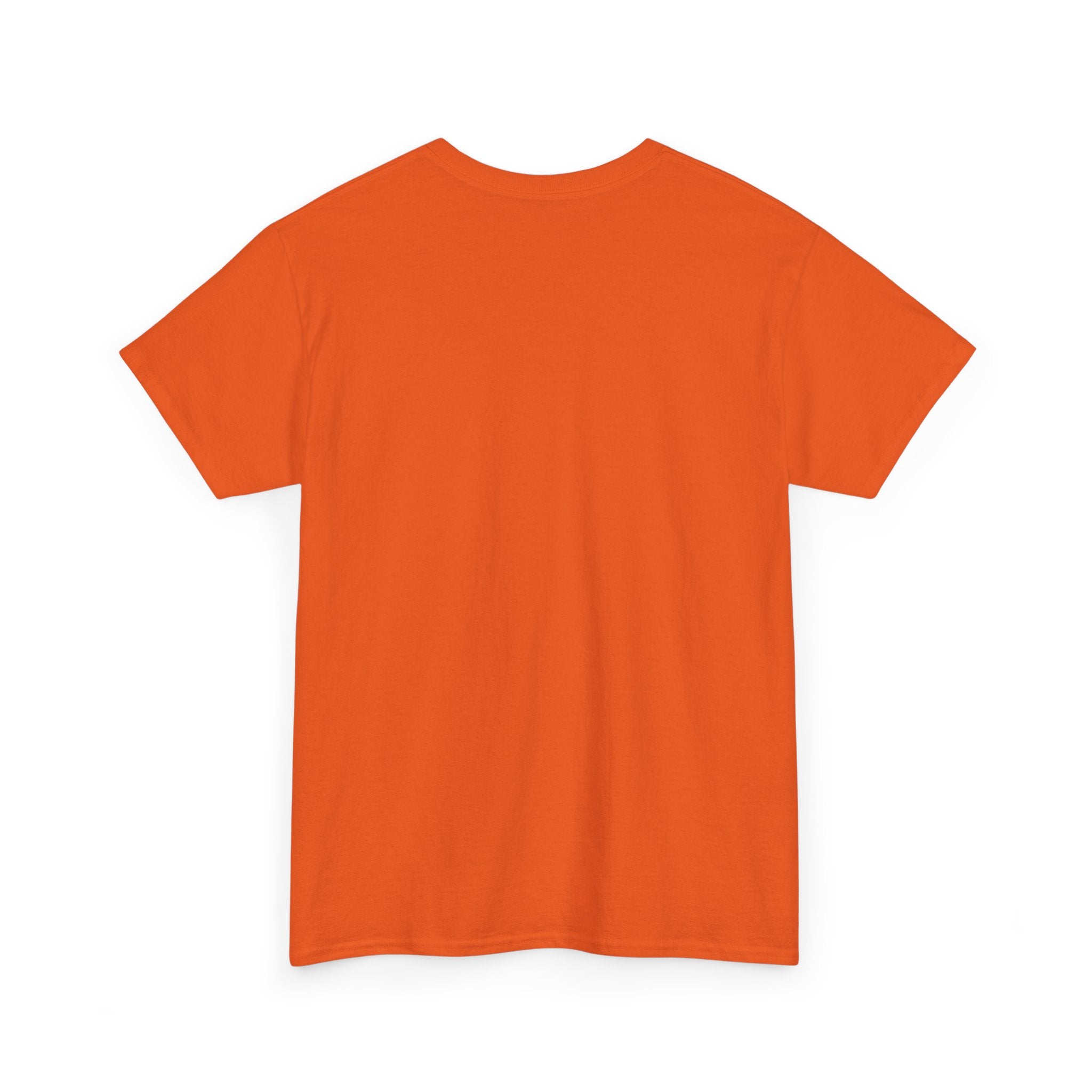 St. Patrick's 'Too Lucky to Be Sober' T-Shirt