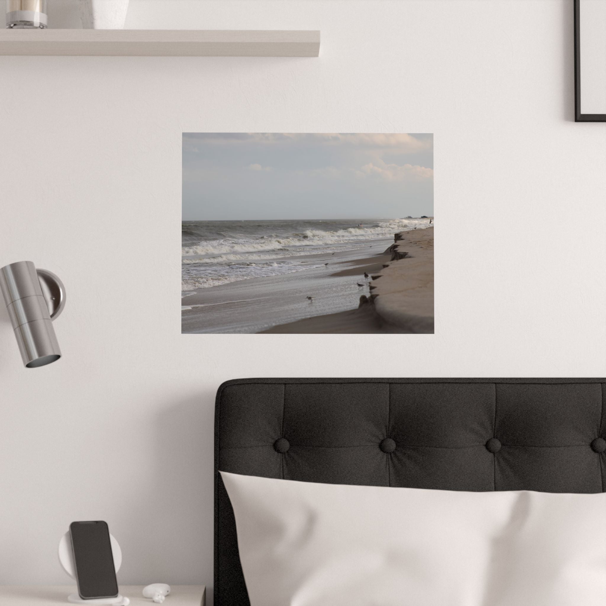 Assateague Island Posters