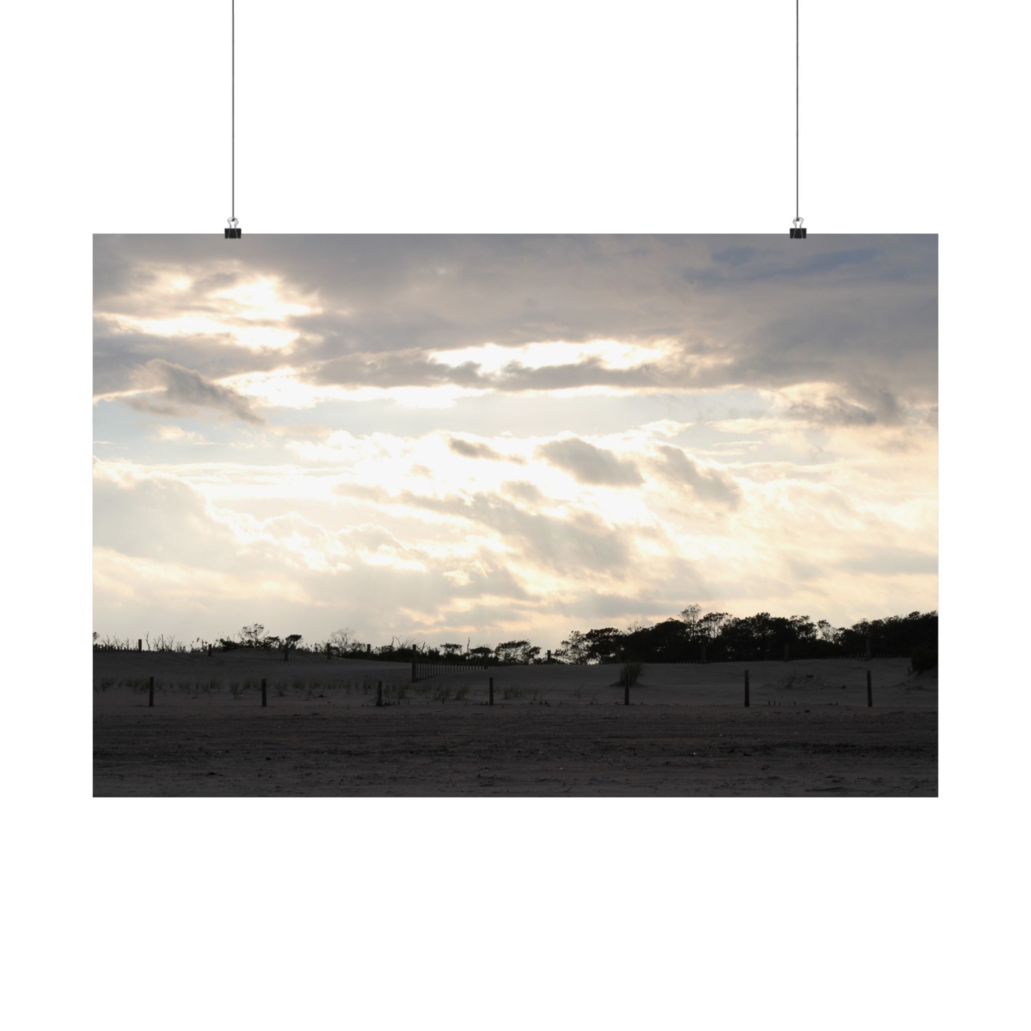 Assateague Island Posters
